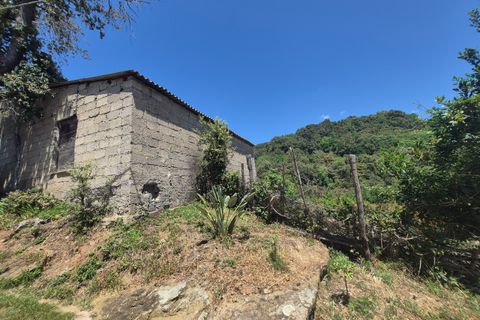 Villa a Pianopoli, Catanzaro, Pianopoli - € 50.000 | Ref: 208 - foto 17