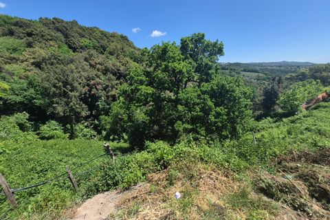Villa a Pianopoli, Catanzaro, Pianopoli - € 50.000 | Ref: 208 - foto 19