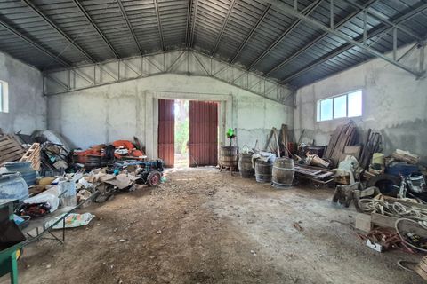Villa a Pianopoli, Catanzaro, Pianopoli - € 50.000 | Ref: 208 - foto 22