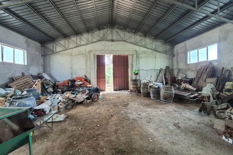 Villa a Pianopoli, Catanzaro, Pianopoli - € 50.000 | Ref: 208 - foto 24