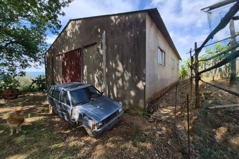 Villa a Pianopoli, Catanzaro, Pianopoli - € 50.000 | Ref: 208 - foto 25