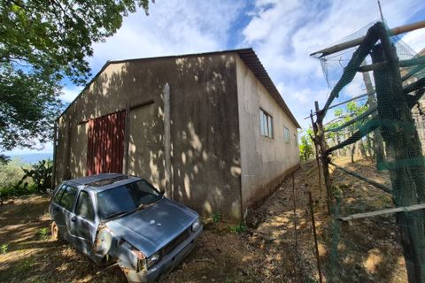 Villa a Pianopoli, Catanzaro, Pianopoli - € 50.000 | Ref: 208 - foto 26