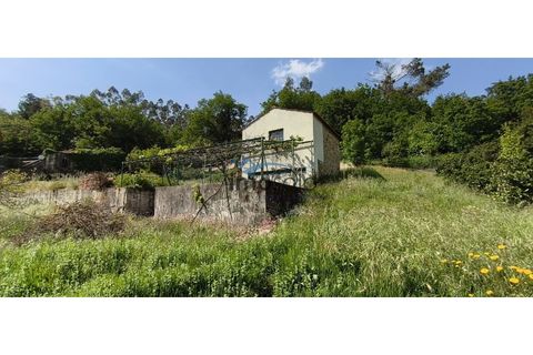 Villa i Sever do Vouga, Aveiro, Sever do Vouga - € 488.500 | Ref: 162 - foto 33