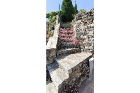 Villa i Sever do Vouga, Aveiro, Sever do Vouga - € 488.500 | Ref: 162 - foto 36