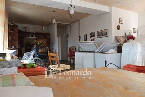 Villa i Camaiore, Lucca, Camaiore - € 80.000 | Ref: G505 - foto 5
