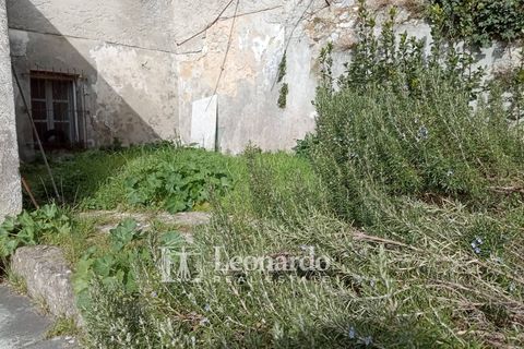 Villa i Camaiore, Lucca, Camaiore - € 80.000 | Ref: G505 - foto 26