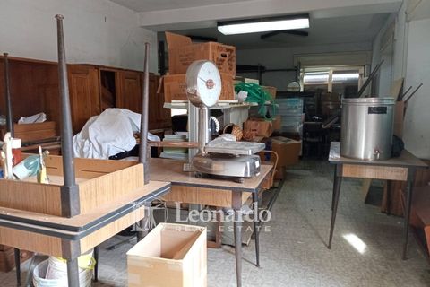 Villa i Camaiore, Lucca, Camaiore - € 80.000 | Ref: G505 - foto 27