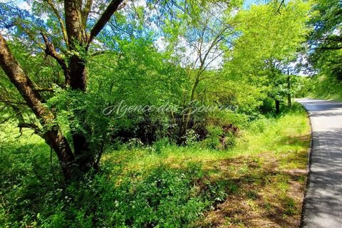 Helårsgrund i Bras, Var, Bras - € 6.500 | Ref: 1709 - foto 6
