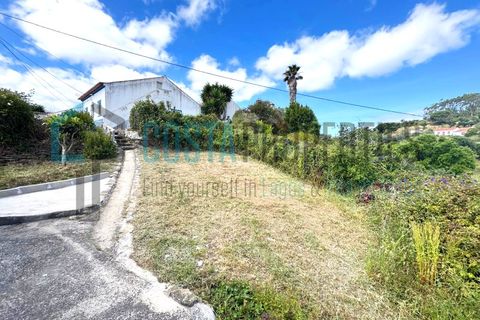 Landejendom i Bordeira, Faro, Bordeira - € 300.000 | Ref: CP-Q2601 - foto 14