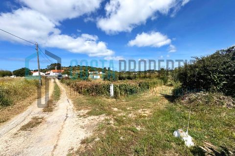 Landejendom i Bordeira, Faro, Bordeira - € 300.000 | Ref: CP-Q2601 - foto 46