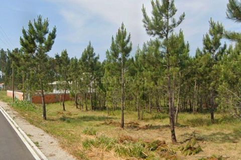 Helårsgrund i Vagos, Aveiro, Vagos - € 62.000 | Ref: C0393-01547 - foto 1