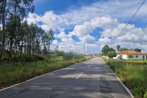 Helårsgrund i Vagos, Aveiro, Vagos - € 62.000 | Ref: C0393-01547 - foto 2