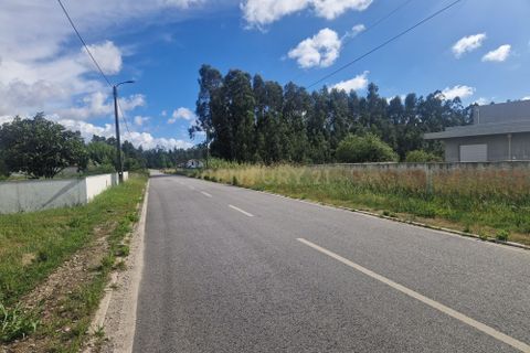 Helårsgrund i Vagos, Aveiro, Vagos - € 62.000 | Ref: C0393-01547 - foto 3