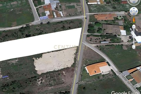 Helårsgrund i Vagos, Aveiro, Vagos - € 62.000 | Ref: C0393-01547 - foto 4