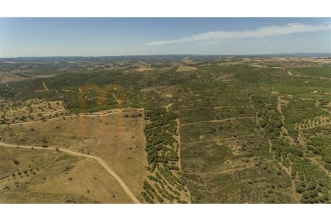 Rækkehus i Alcoutim, Faro, Alcoutim - € 60.000 | Ref: BYS-1145 - foto 23