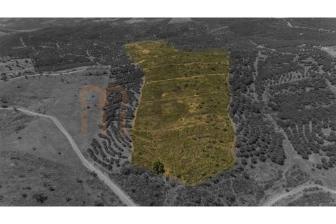Rækkehus i Alcoutim, Faro, Alcoutim - € 60.000 | Ref: BYS-1145 - foto 24