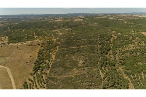 Rækkehus i Alcoutim, Faro, Alcoutim - € 60.000 | Ref: BYS-1145 - foto 25