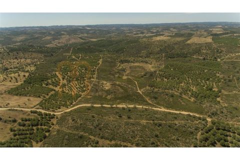Rækkehus i Alcoutim, Faro, Alcoutim - € 60.000 | Ref: BYS-1145 - foto 26
