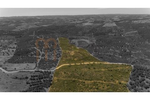 Rækkehus i Alcoutim, Faro, Alcoutim - € 60.000 | Ref: BYS-1145 - foto 27