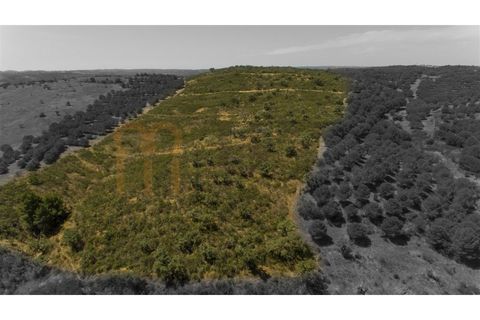 Rækkehus i Alcoutim, Faro, Alcoutim - € 60.000 | Ref: BYS-1145 - foto 29