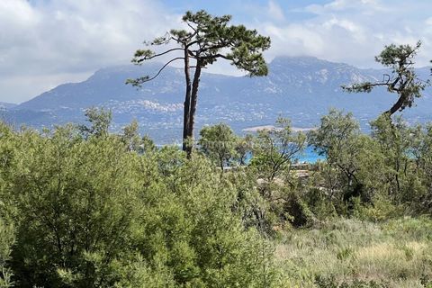 Lejlighed i Calvi, Haute-Corse, Calvi - € 842.000 | Ref: 2353 - foto 2