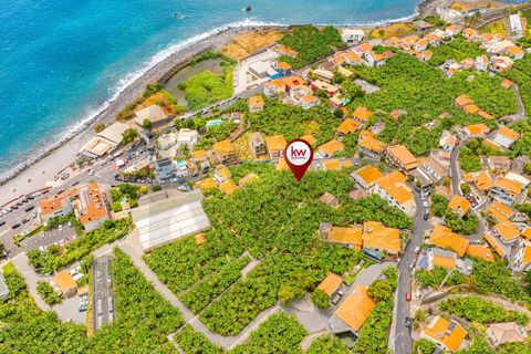 Helårsgrund i Ponta do Sol, Madeira, Ponta do Sol - € 1.390.000 | Ref: KWPT-020936 - foto 1
