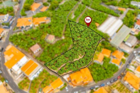 Helårsgrund i Ponta do Sol, Madeira, Ponta do Sol - € 1.390.000 | Ref: KWPT-020936 - foto 2