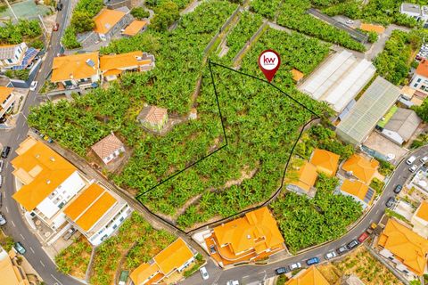 Helårsgrund i Ponta do Sol, Madeira, Ponta do Sol - € 1.390.000 | Ref: KWPT-020936 - foto 3