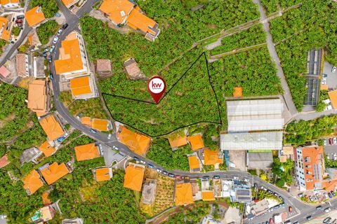 Helårsgrund i Ponta do Sol, Madeira, Ponta do Sol - € 1.390.000 | Ref: KWPT-020936 - foto 5