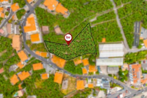Helårsgrund i Ponta do Sol, Madeira, Ponta do Sol - € 1.390.000 | Ref: KWPT-020936 - foto 6