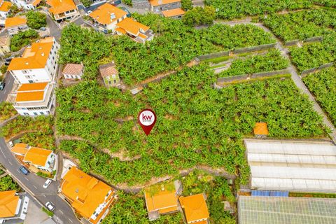 Helårsgrund i Ponta do Sol, Madeira, Ponta do Sol - € 1.390.000 | Ref: KWPT-020936 - foto 7