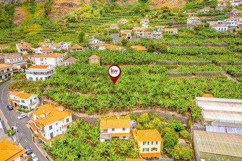 Helårsgrund i Ponta do Sol, Madeira, Ponta do Sol - € 1.390.000 | Ref: KWPT-020936 - foto 8