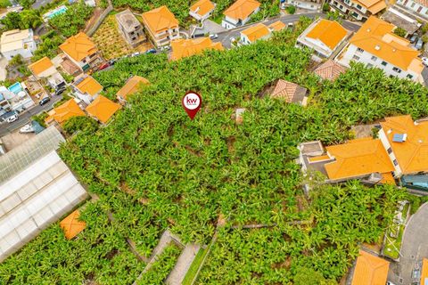 Helårsgrund i Ponta do Sol, Madeira, Ponta do Sol - € 1.390.000 | Ref: KWPT-020936 - foto 9