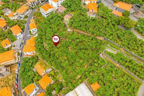 Helårsgrund i Ponta do Sol, Madeira, Ponta do Sol - € 1.390.000 | Ref: KWPT-020936 - foto 10