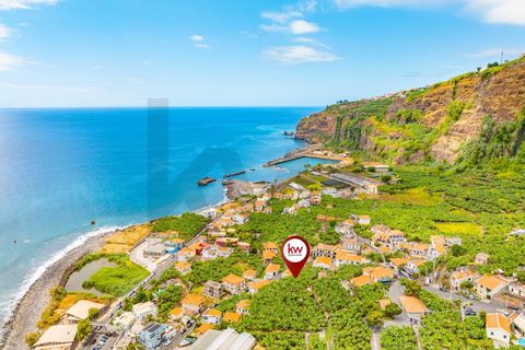 Helårsgrund i Ponta do Sol, Madeira, Ponta do Sol - € 1.390.000 | Ref: KWPT-020936 - foto 12