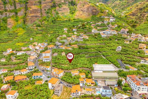 Helårsgrund i Ponta do Sol, Madeira, Ponta do Sol - € 1.390.000 | Ref: KWPT-020936 - foto 18