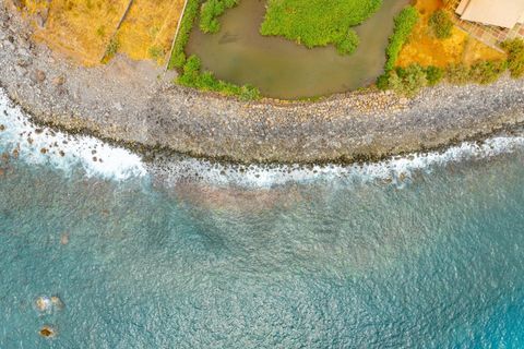 Helårsgrund i Ponta do Sol, Madeira, Ponta do Sol - € 1.390.000 | Ref: KWPT-020936 - foto 19