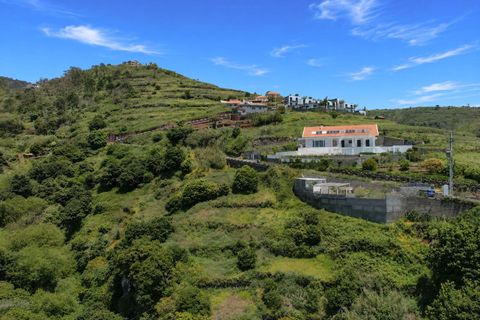 Helårsgrund i Calheta, Madeira, Calheta - € 155.000 | Ref: KWPT-033461 - foto 11