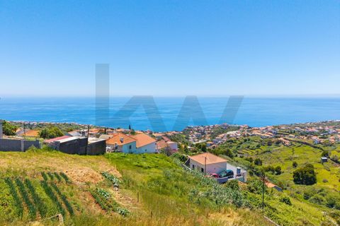 Helårsgrund i Calheta, Madeira, Calheta - € 138.000 | Ref: KWPT-034069 - foto 10