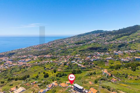 Helårsgrund i Calheta, Madeira, Calheta - € 138.000 | Ref: KWPT-034069 - foto 14
