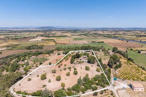 Landejendom i Manacor, Mallorca, Manacor - € 379.000 | Ref: 05LF039/3010 - foto 2