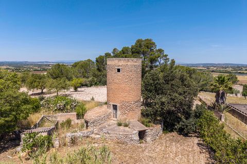 Landejendom i Manacor, Mallorca, Manacor - € 379.000 | Ref: 05LF039/3010 - foto 3