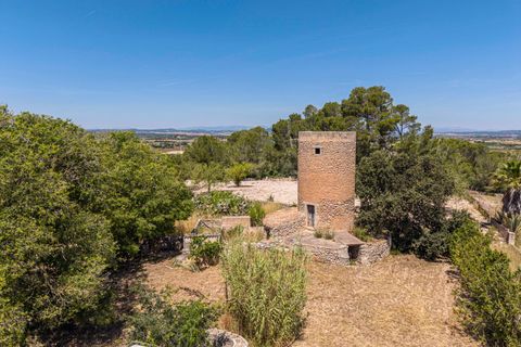Landejendom i Manacor, Mallorca, Manacor - € 379.000 | Ref: 05LF039/3010 - foto 4