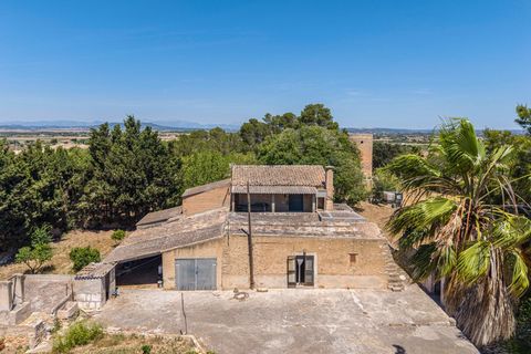 Landejendom i Manacor, Mallorca, Manacor - € 379.000 | Ref: 05LF039/3010 - foto 5