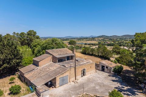 Landejendom i Manacor, Mallorca, Manacor - € 379.000 | Ref: 05LF039/3010 - foto 6