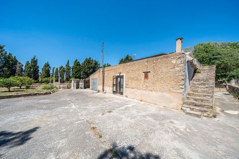Landejendom i Manacor, Mallorca, Manacor - € 379.000 | Ref: 05LF039/3010 - foto 7