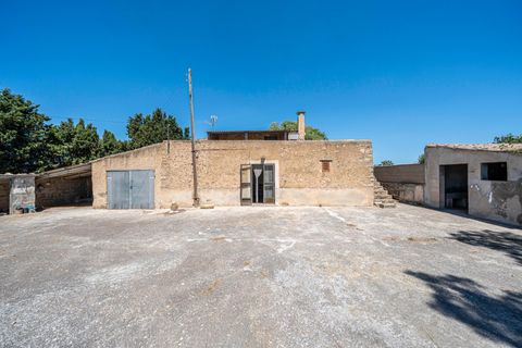 Landejendom i Manacor, Mallorca, Manacor - € 379.000 | Ref: 05LF039/3010 - foto 23