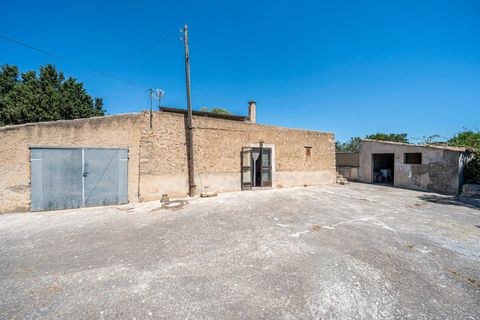 Landejendom i Manacor, Mallorca, Manacor - € 379.000 | Ref: 05LF039/3010 - foto 24