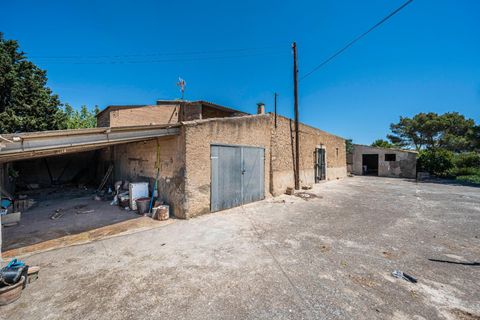 Landejendom i Manacor, Mallorca, Manacor - € 379.000 | Ref: 05LF039/3010 - foto 25