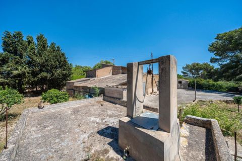 Landejendom i Manacor, Mallorca, Manacor - € 379.000 | Ref: 05LF039/3010 - foto 26